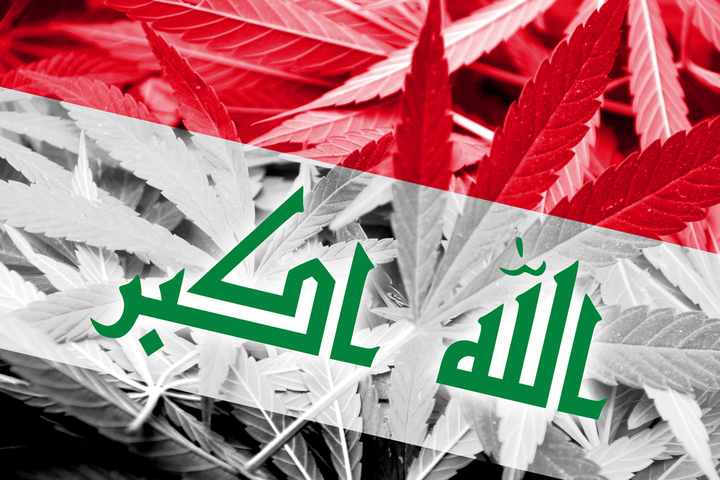 Iraq’s growing drug problem: From drug corridor to producer