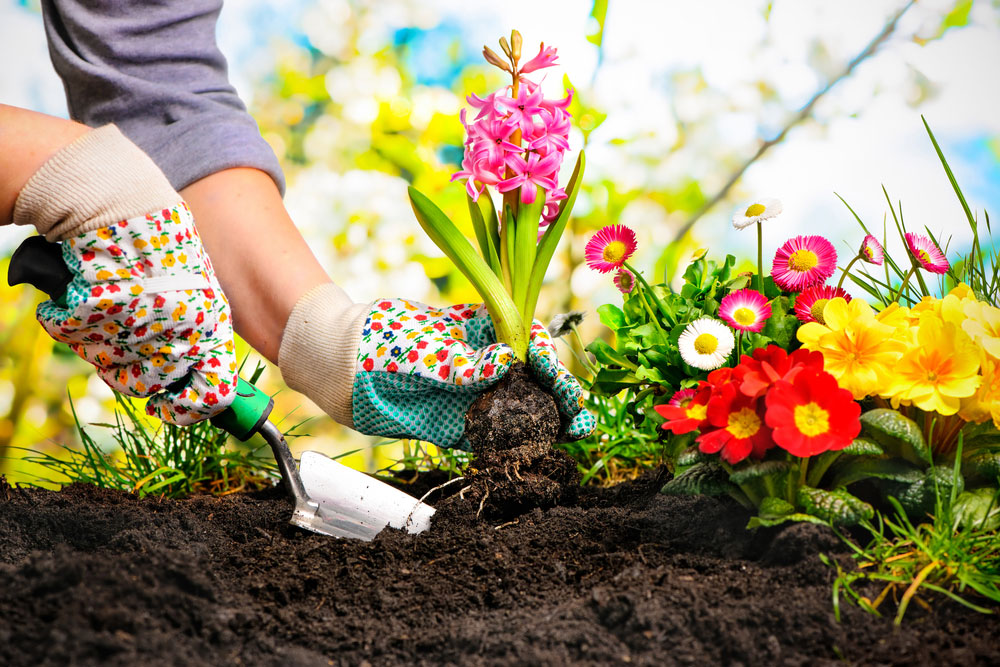 Addiction Recovery House in Athens, Ohio Experiments with Horticultural Therapy