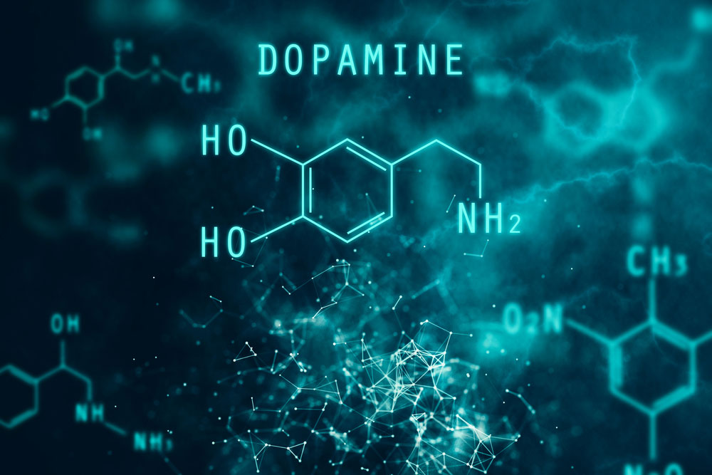New Dopamine Research Findings May Redefine Addiction Treatment 
